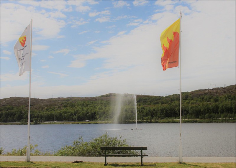 Flagg ved Førstevatn i Sør-Varanger kommune. Foto: Siv M. Wollmann, Sør-Varanger kommune. Bilde gjengitt med tillatelse.