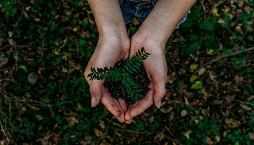 Earth Overshoot Day - Jordas overforbruksdag